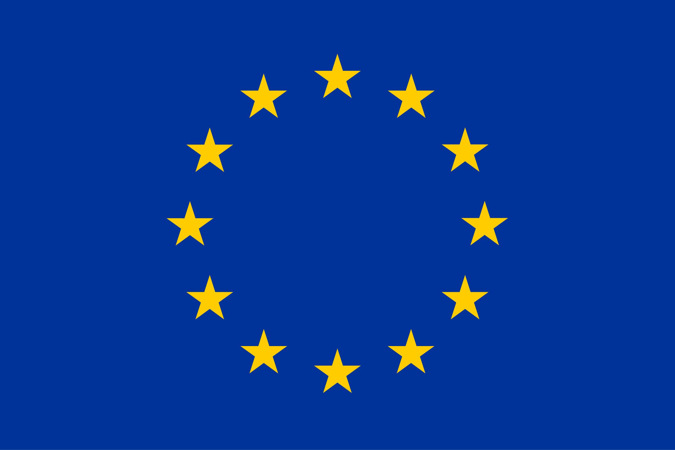 European Union flag